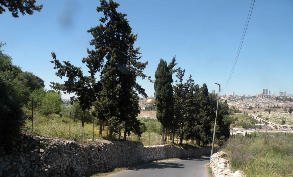 Gerusalemme: dal Monte degli Ulivi alla valle del Cedron